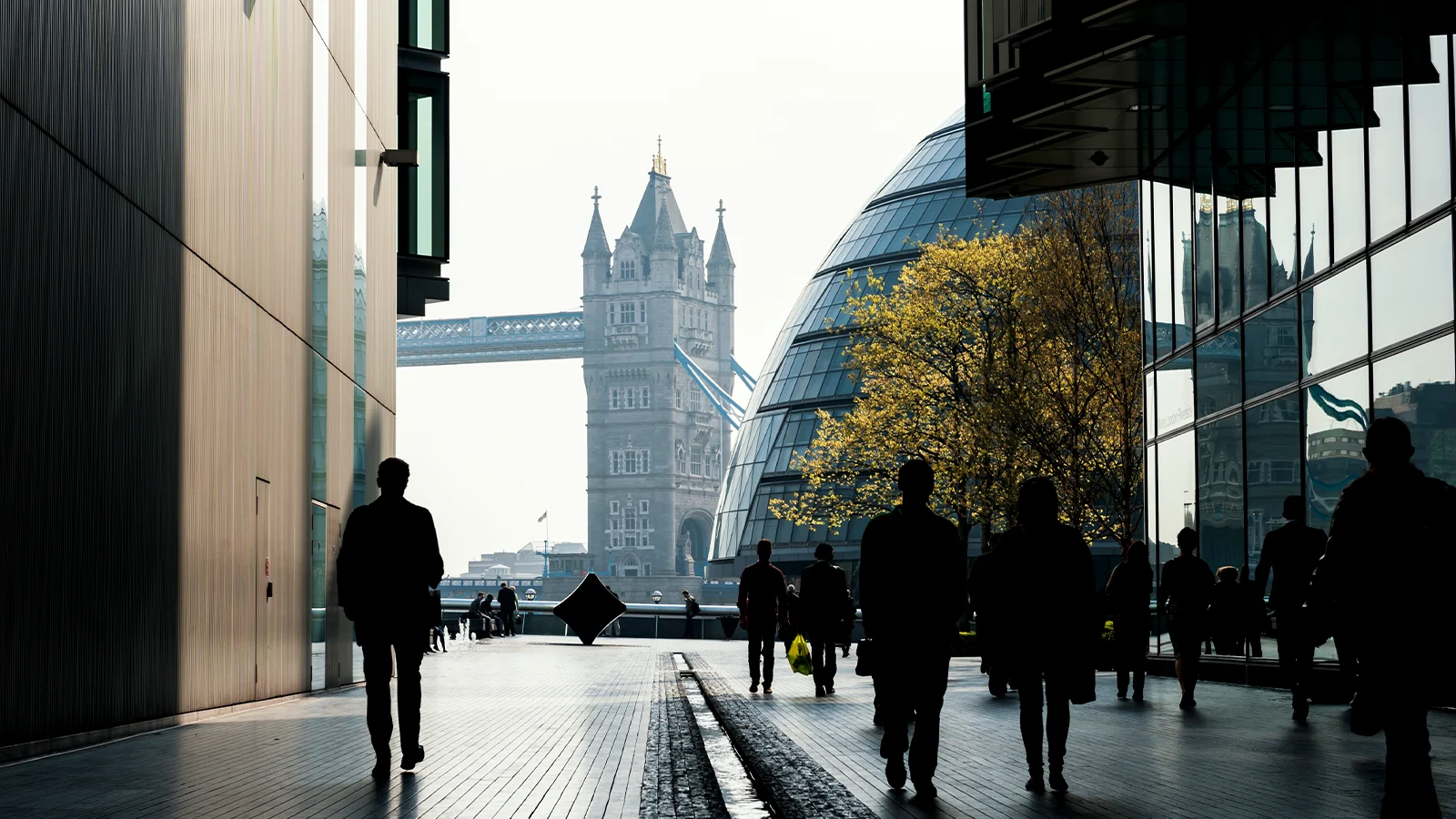 The strategic significance of economic alignment between the UK and Turkey.