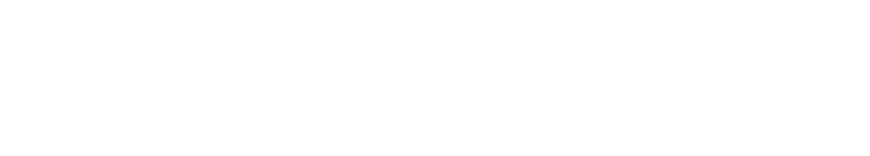 Turkish Business Forum Logo